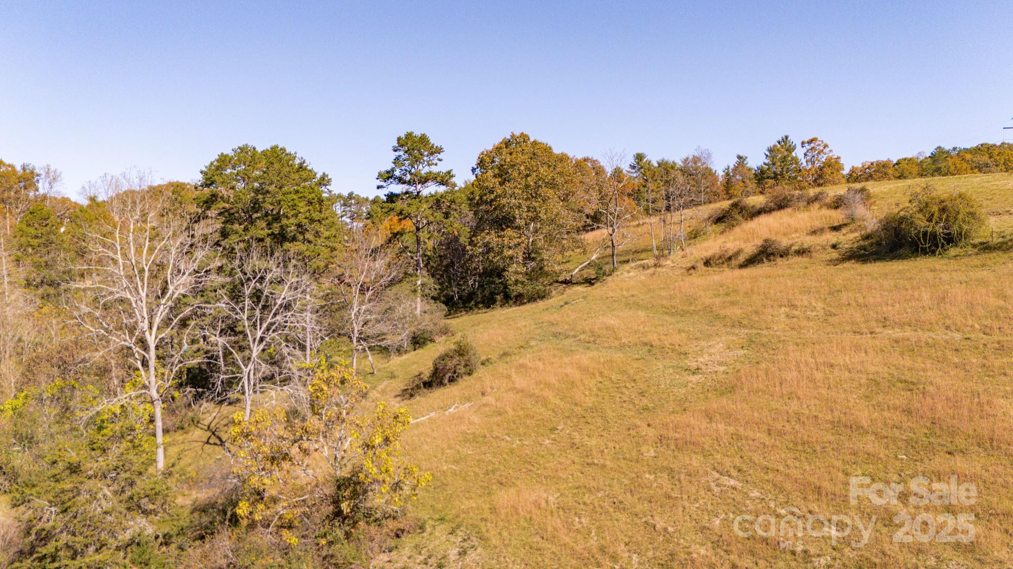 318 Monticello Road Weaverville, NC 28787 - Photo 12 of 16
