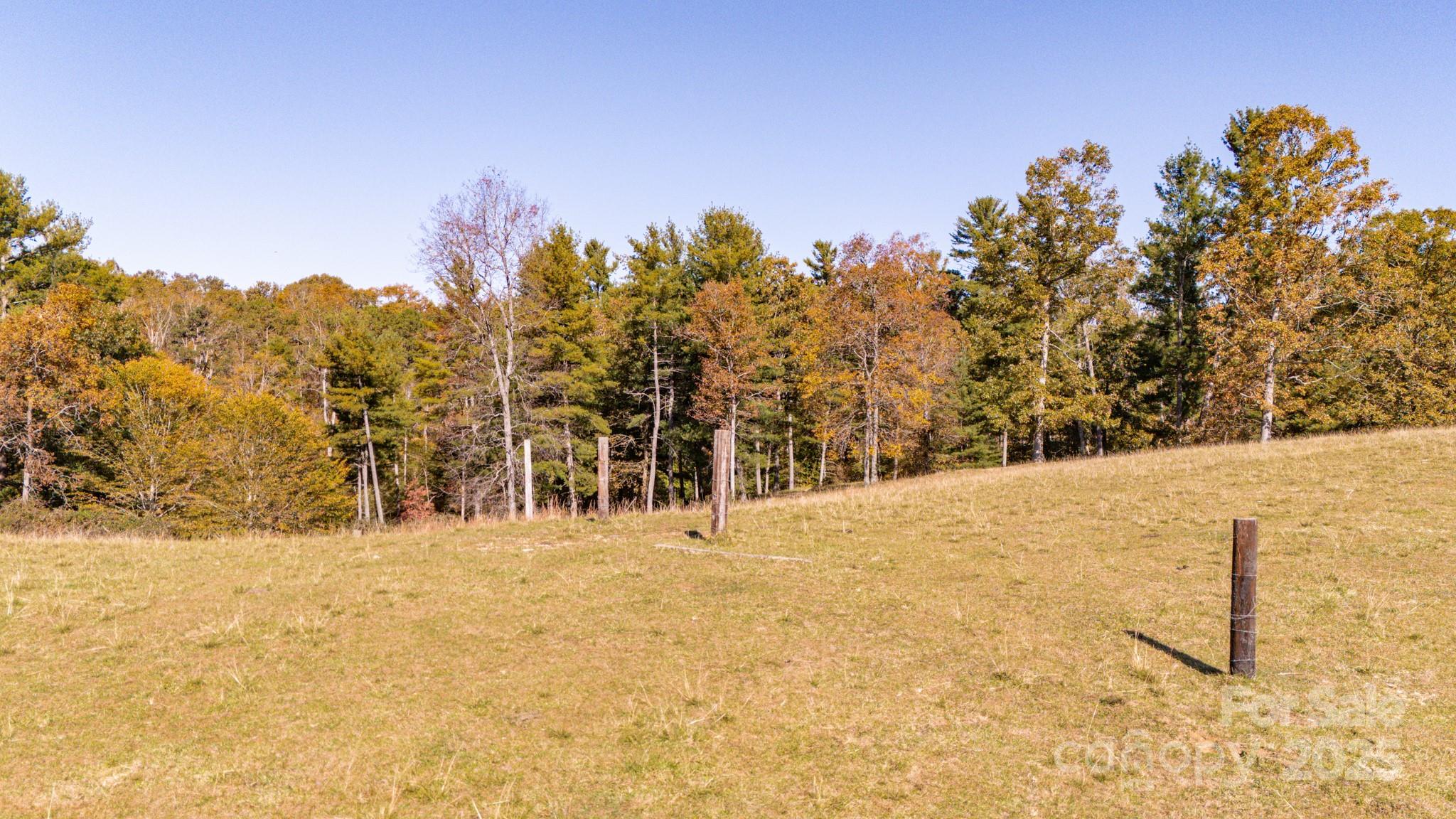 318 Monticello Road Weaverville, NC 28787 - Photo 13 of 16