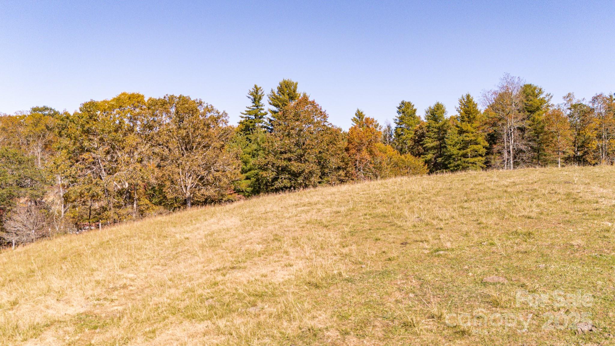 318 Monticello Road Weaverville, NC 28787 - Photo 14 of 16