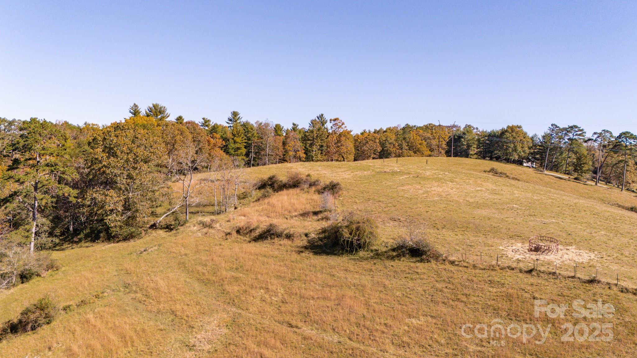318 Monticello Road Weaverville, NC 28787 - Photo 15 of 16