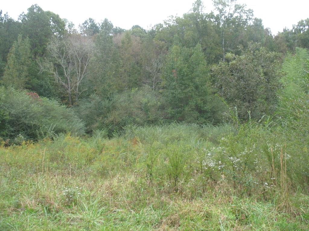 201 Santa Claus Road Cedartown, GA 30125 - Photo 1 of 1