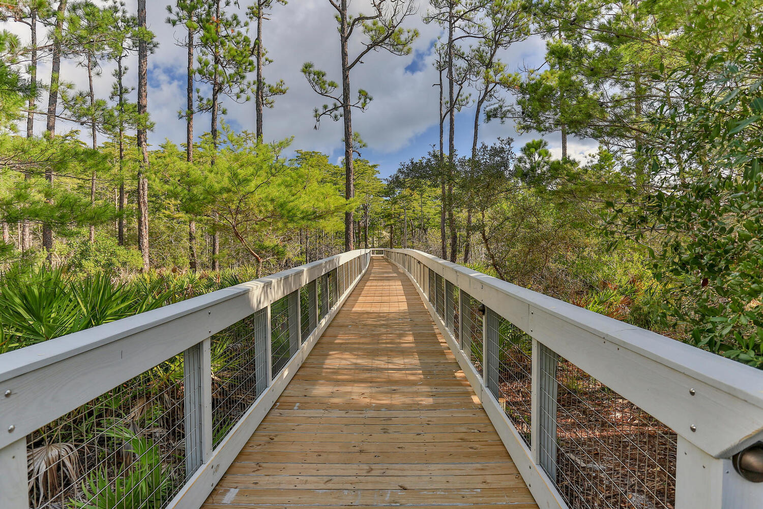 72 Gulf Walk Santa Rosa Beach, FL 32459 - Photo 60 of 65 Walk Over