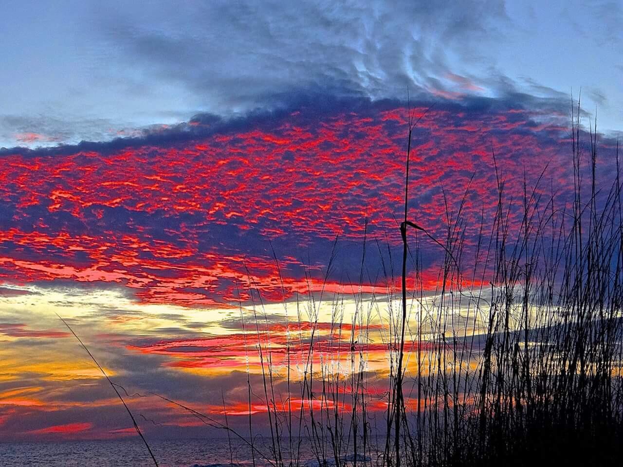 72 Gulf Walk Santa Rosa Beach, FL 32459 - Photo 65 of 65 SUNSET