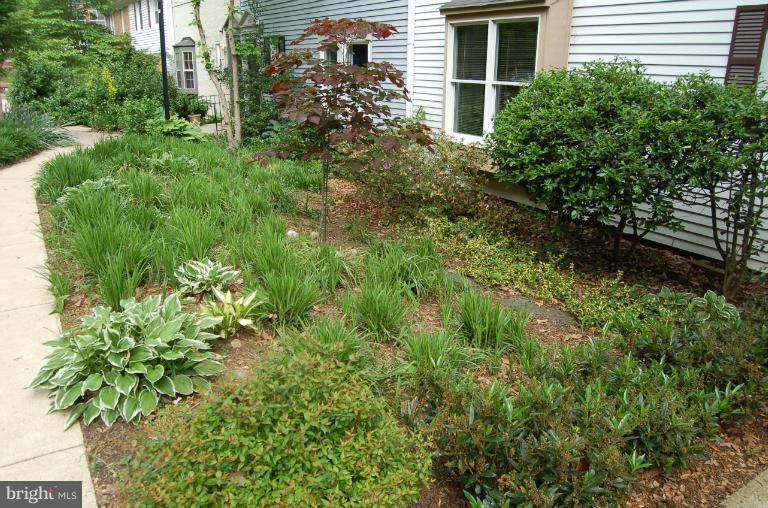 8663 Geren Road, Unit 265 Silver Spring, MD 20901 - Photo 2 of 9 a view of a garden with plants