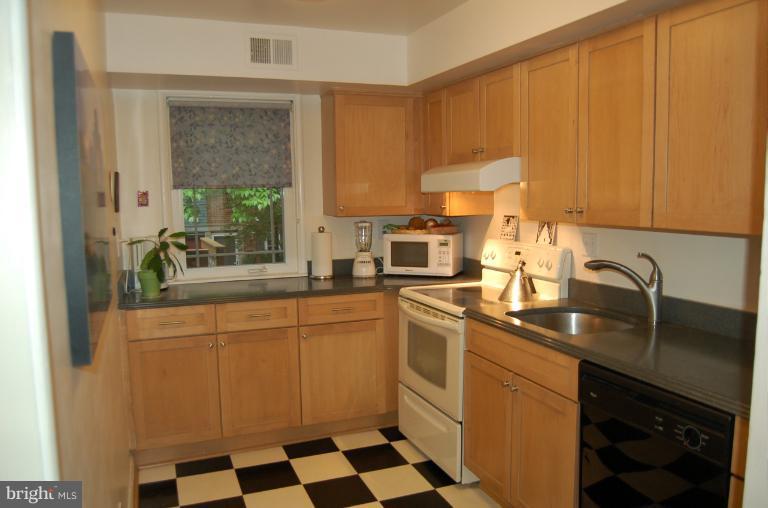 8663 Geren Road, Unit 265 Silver Spring, MD 20901 - Photo 4 of 9 a kitchen with a sink a stove cabinets and a window