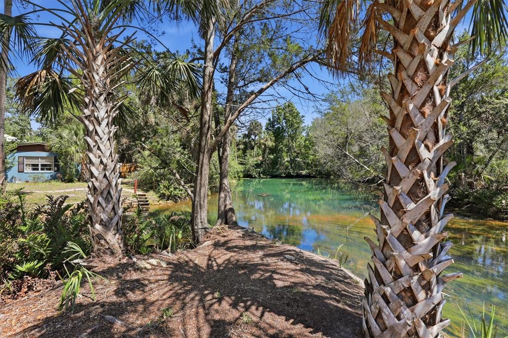 6248 Colony Circle Weeki Wachee, FL 34607 - Photo 1 of 20
