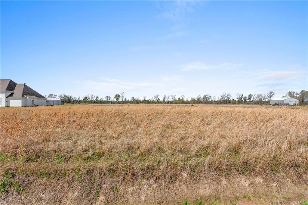 0 Bunker Hill Road Lake Charles, LA 70611 - Photo 3 of 9