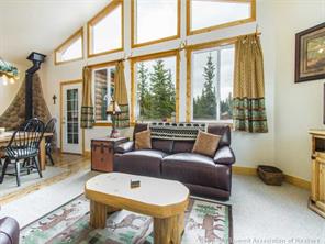 1748 Co Road Fairplay, CO 80440 - Photo 14 of 24 Gallery Image 14