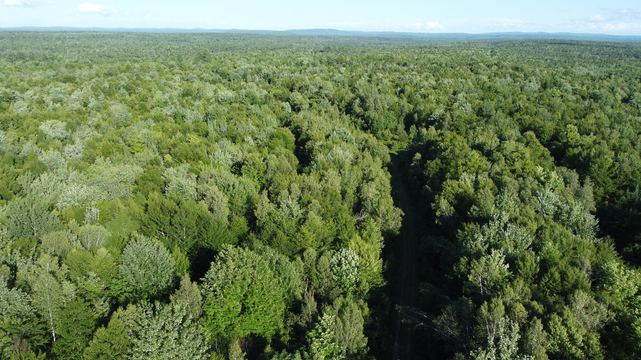 171 Reed Plt Me 04497 Wytopitlock, ME 04497 - Photo 9 of 29 dji_fly_20260716_175428_744_178423895146