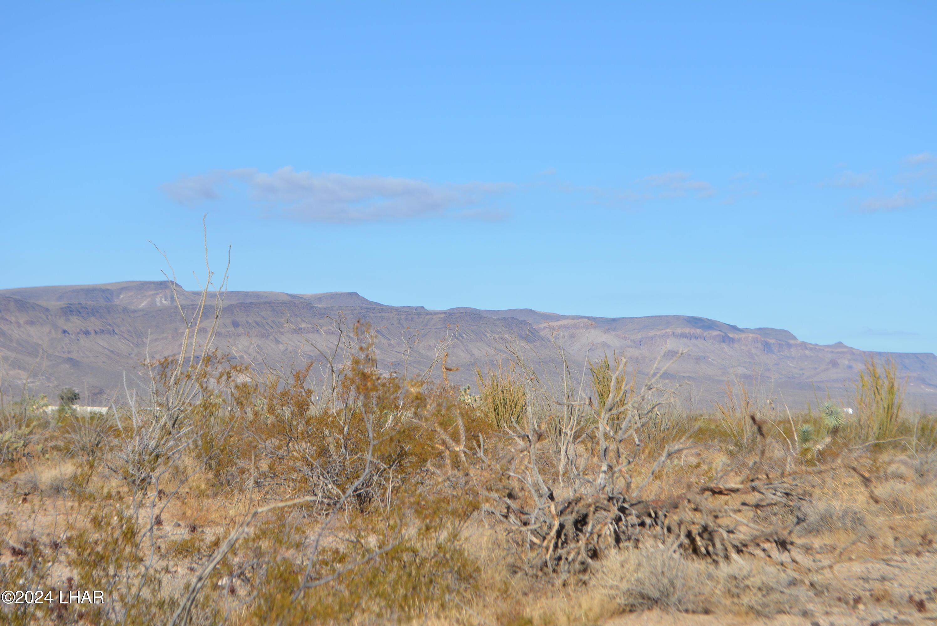 A7 South Carmen Road Yucca, AZ 86438 - Photo 4 of 26 DSC_0283
