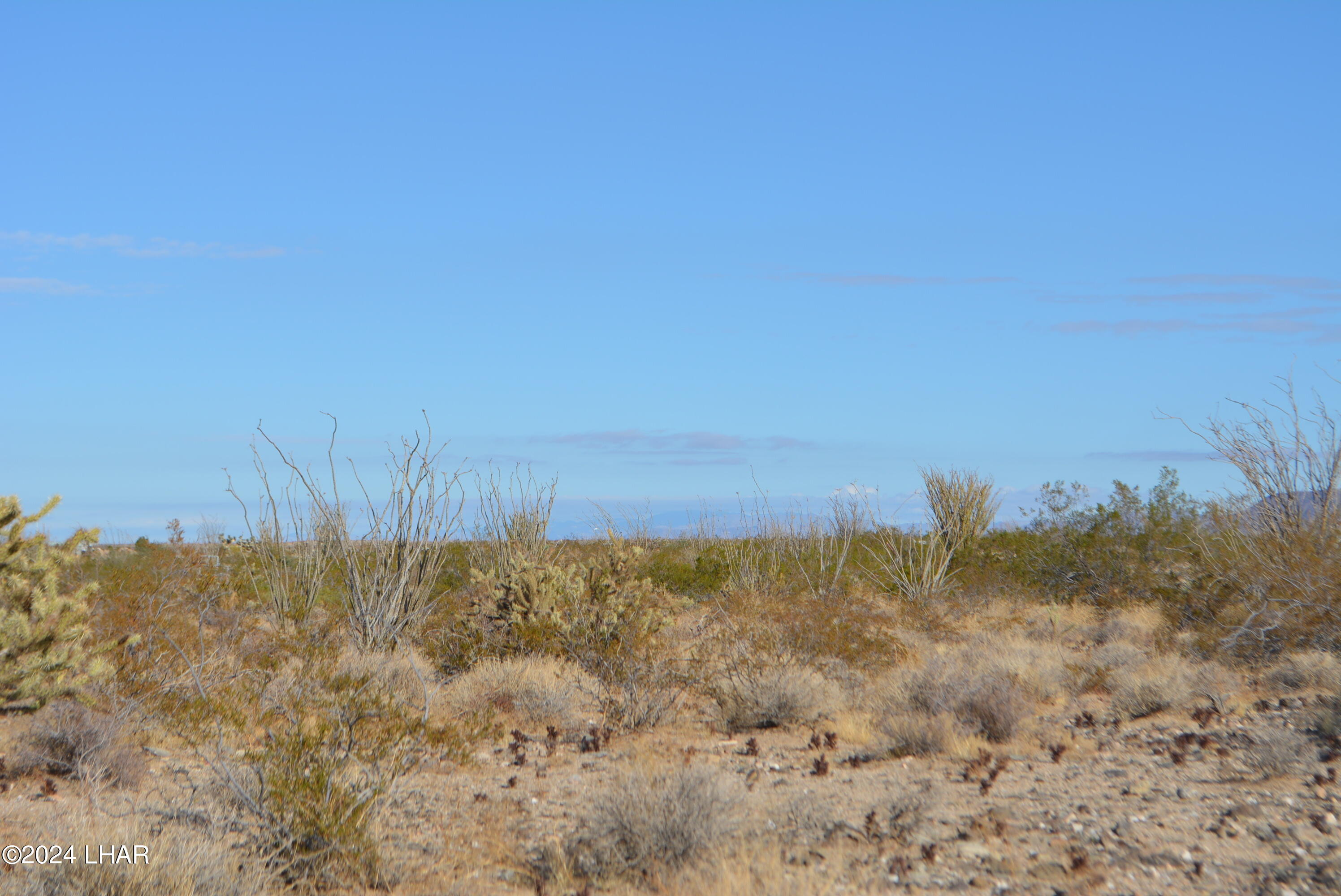 A7 South Carmen Road Yucca, AZ 86438 - Photo 7 of 26 DSC_0286
