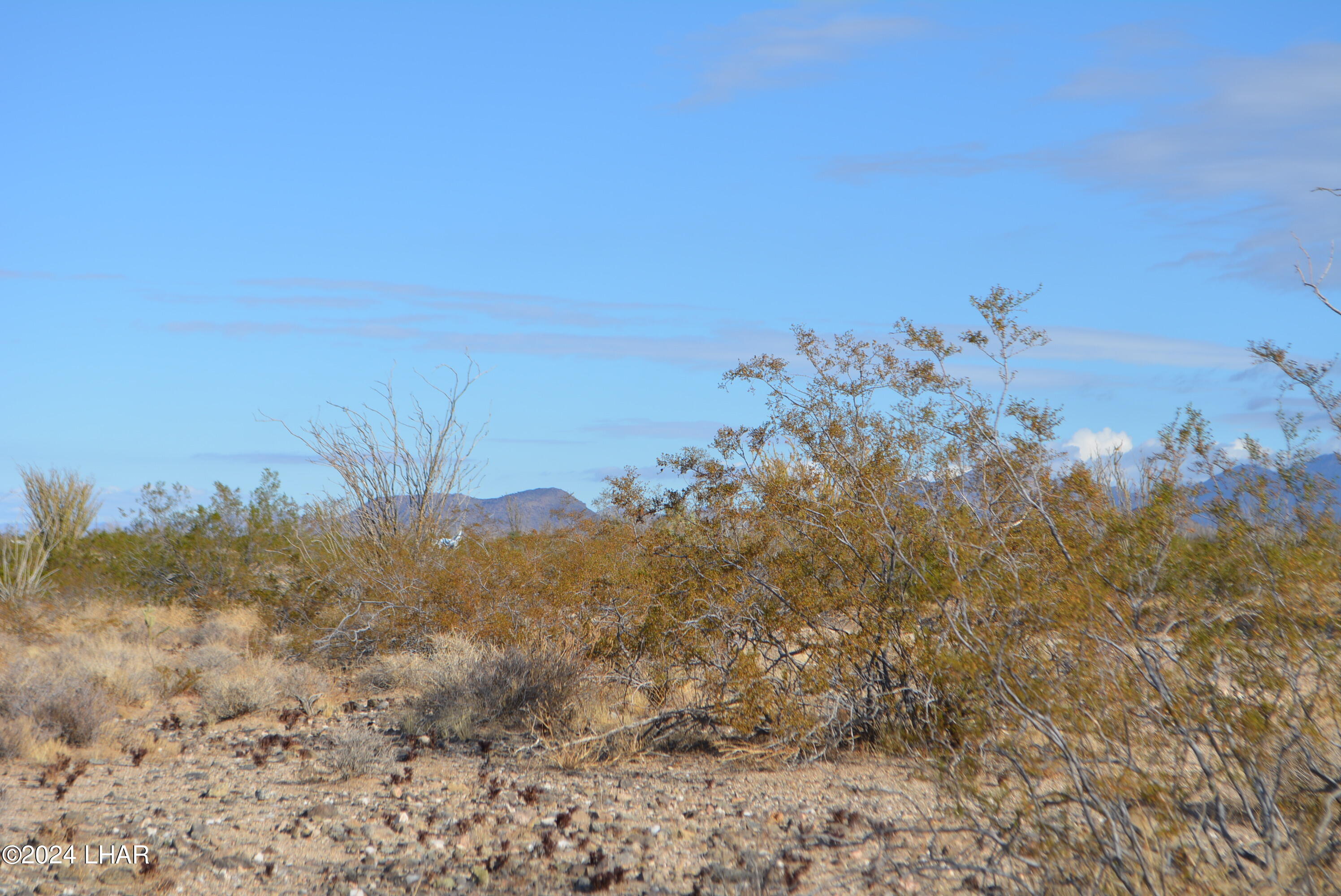 A7 South Carmen Road Yucca, AZ 86438 - Photo 8 of 26 DSC_0287