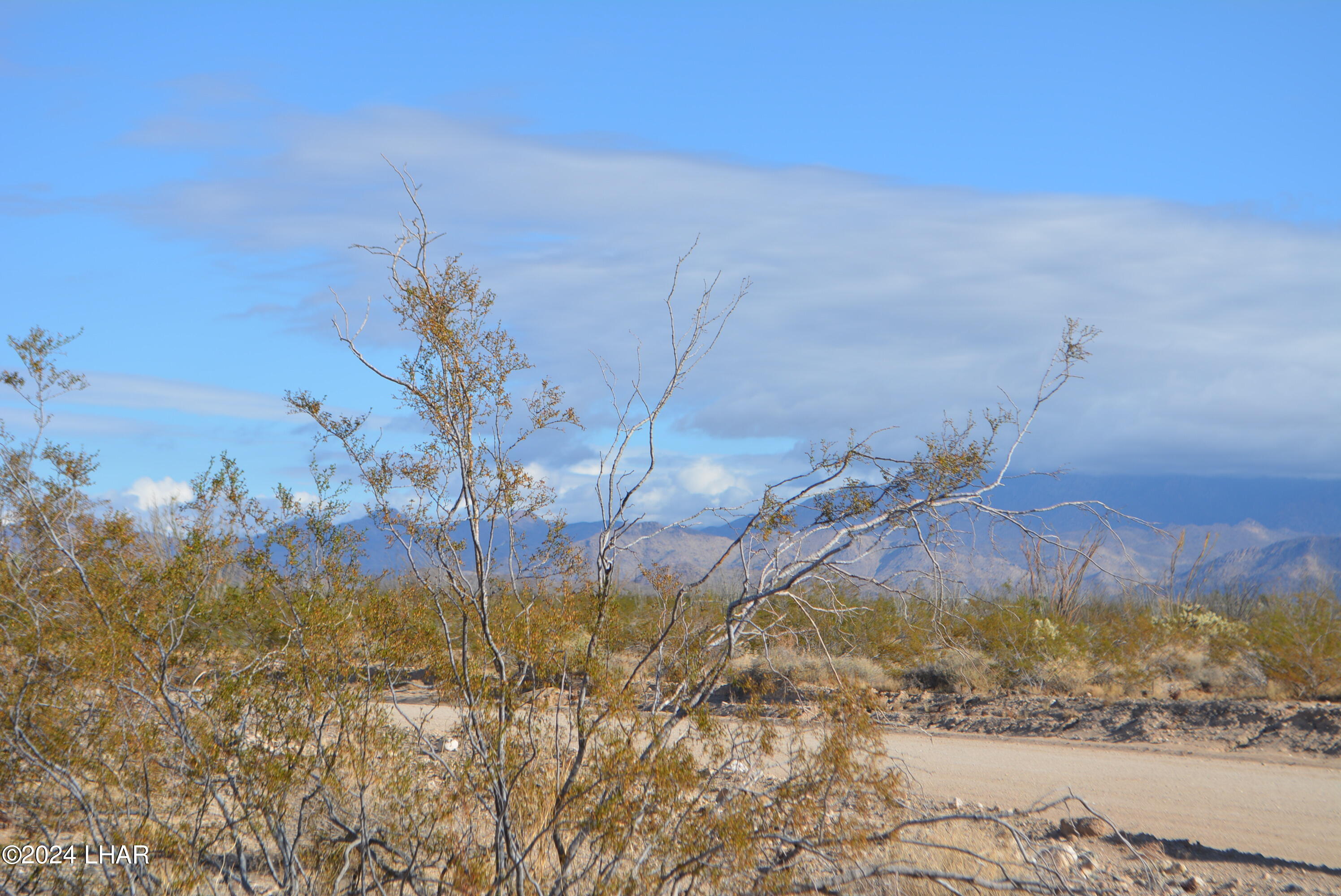 A7 South Carmen Road Yucca, AZ 86438 - Photo 9 of 26 DSC_0288