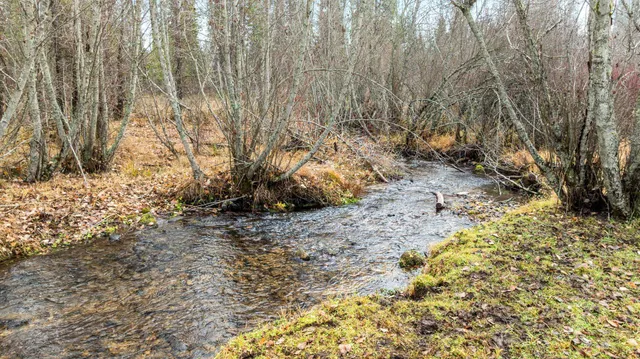 $390,000 | 319 Crystal Creek Road, Unit FERNWOOD, Fernwood, ID 83830