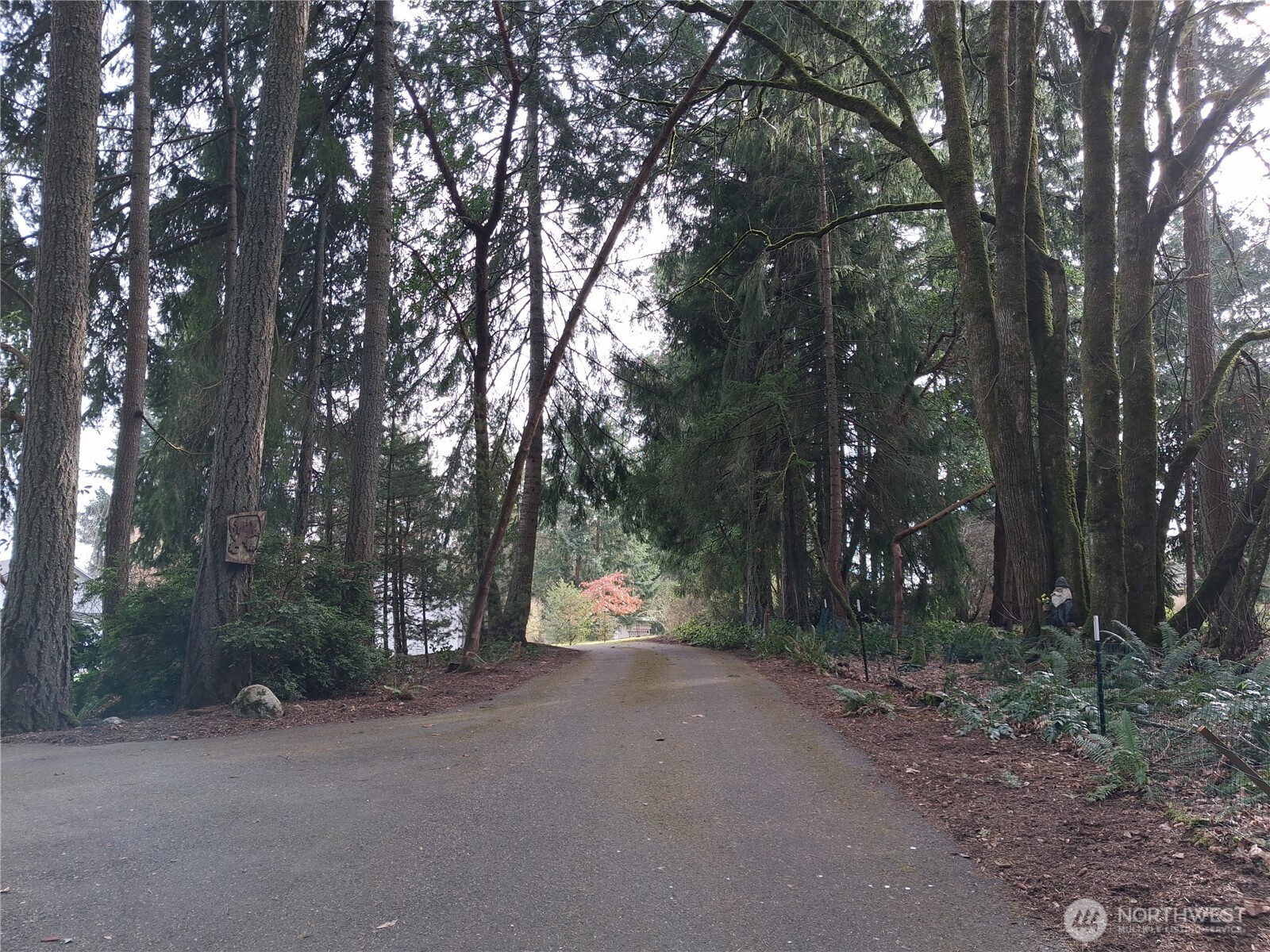 4716 D Milluhr Road Northeast Olympia, WA 98516 - Photo 33 of 39