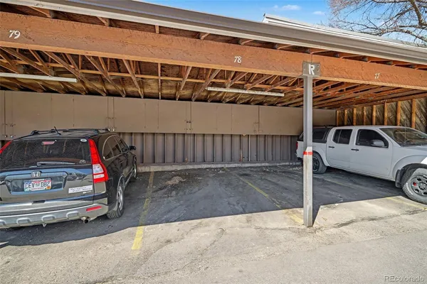 a view of a yard with plants and trees