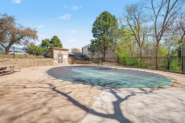 a view of a trees in a yard