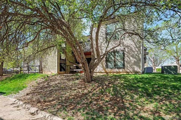 a view of a yard with plants and trees