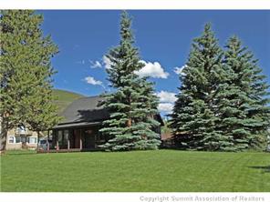 392 Alpine Road Dillon, CO 80435 - Photo 25 of 25 a view of a big yard