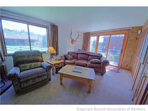 392 Alpine Road Dillon, CO 80435 - Photo 9 of 25 a living room with furniture and a large window