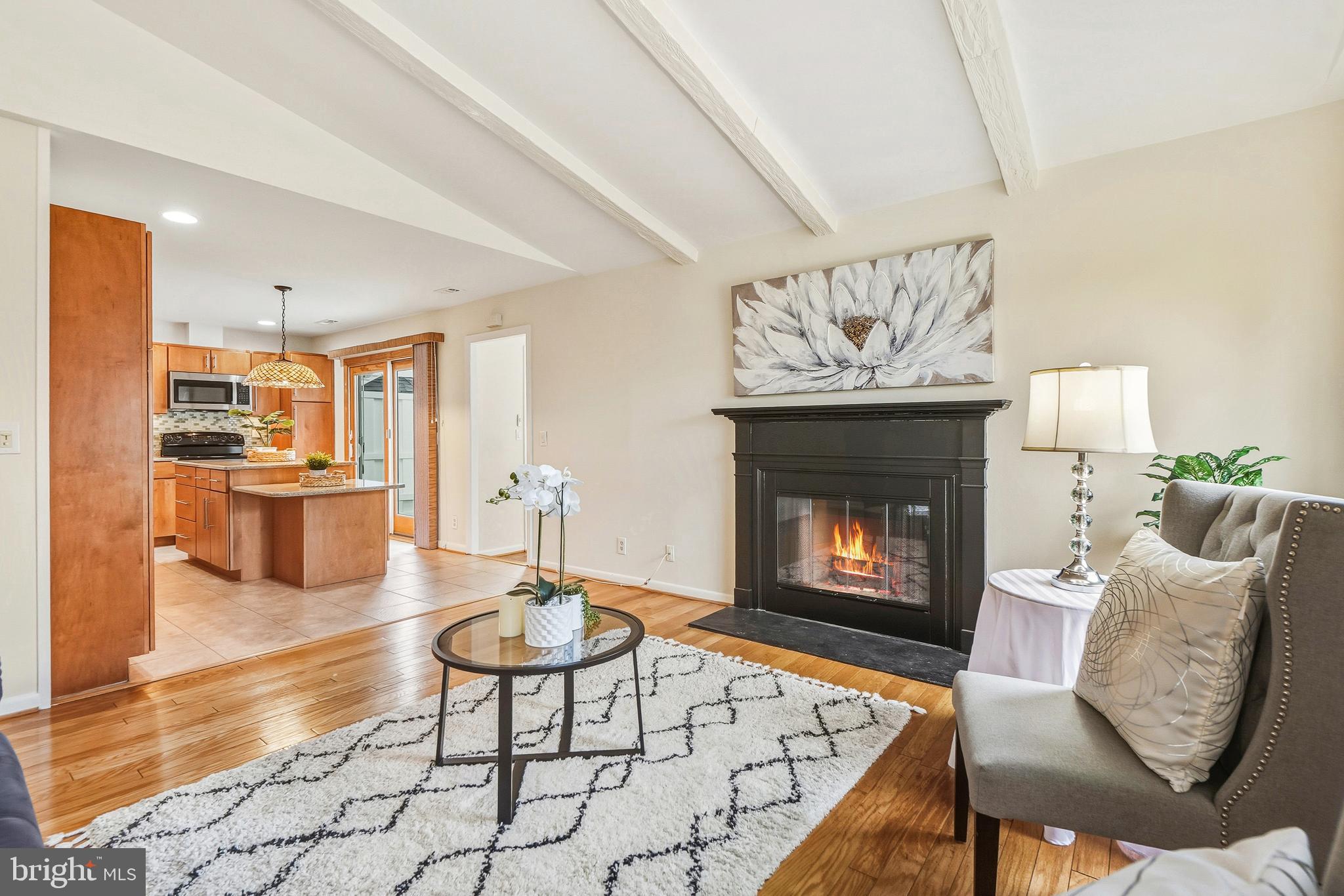 3506 Fiske Terrace, Unit 153A Silver Spring, MD 20906 - Photo 5 of 43 Living room has wood burning fireplace