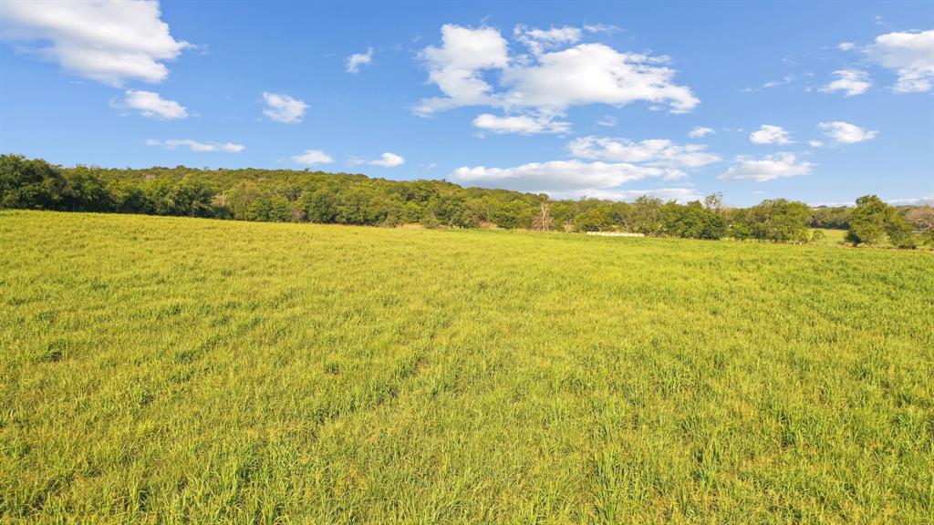 2296 County Road 290 Dublin, TX 76446 - Photo 16 of 40 a view of an ocean from a yard