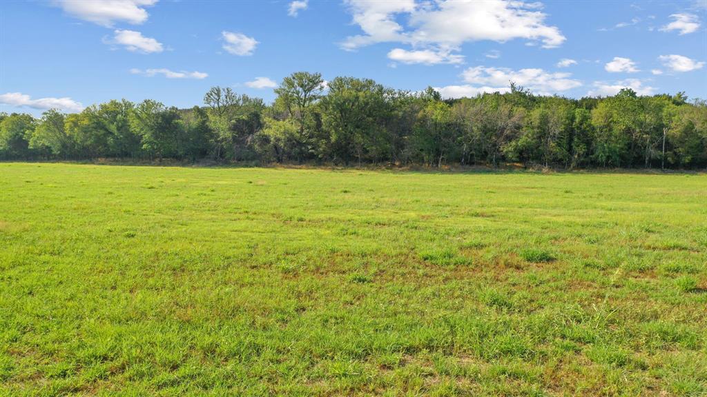 2296 County Road 290 Dublin, TX 76446 - Photo 29 of 40 a view of a green yard