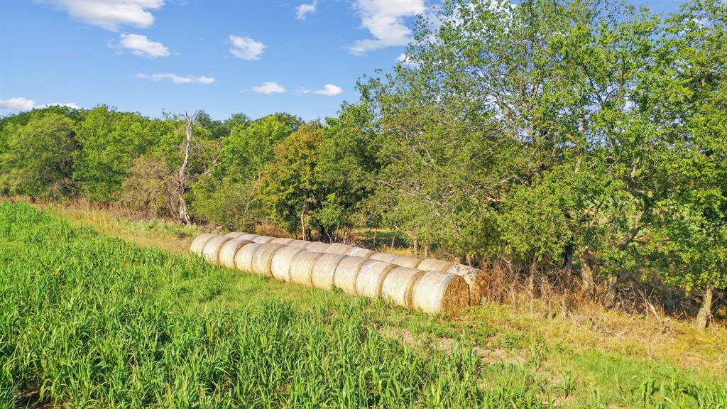 2296 County Road 290 Dublin, TX 76446 - Photo 31 of 40 a view of a garden