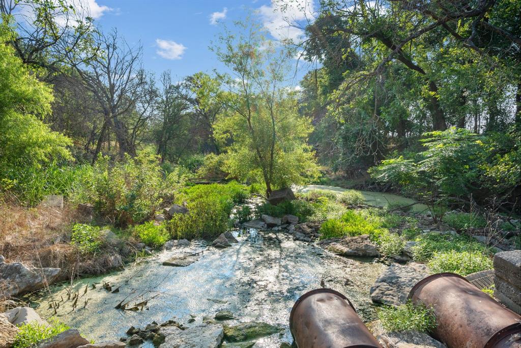 2296 County Road 290 Dublin, TX 76446 - Photo 34 of 40 a view of a backyard with plants and a large tree
