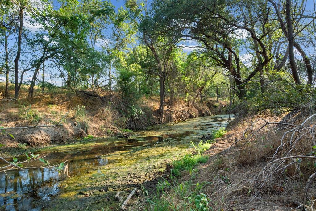 2296 County Road 290 Dublin, TX 76446 - Photo 35 of 40 a view of a tree in a yard