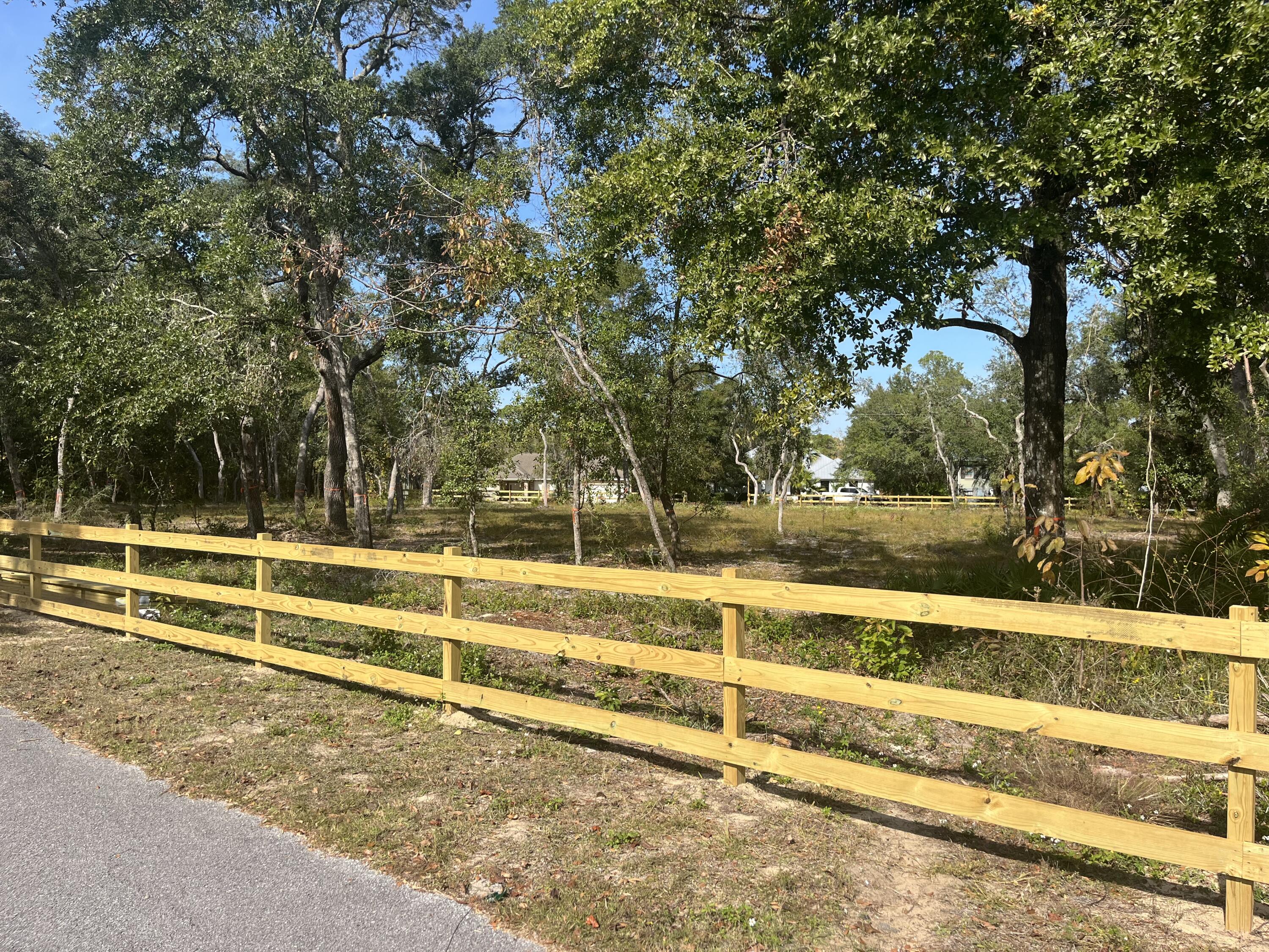 Lot 3 Garden Court Lane Santa Rosa Beach, FL 32459 - Photo 3 of 4 a view of backyard with large trees