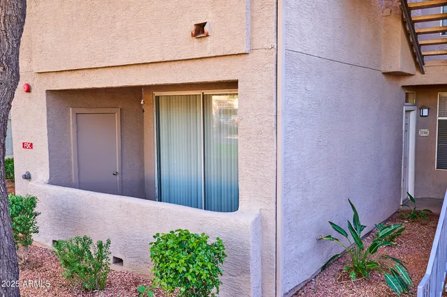 a view of a yard with plants and large trees