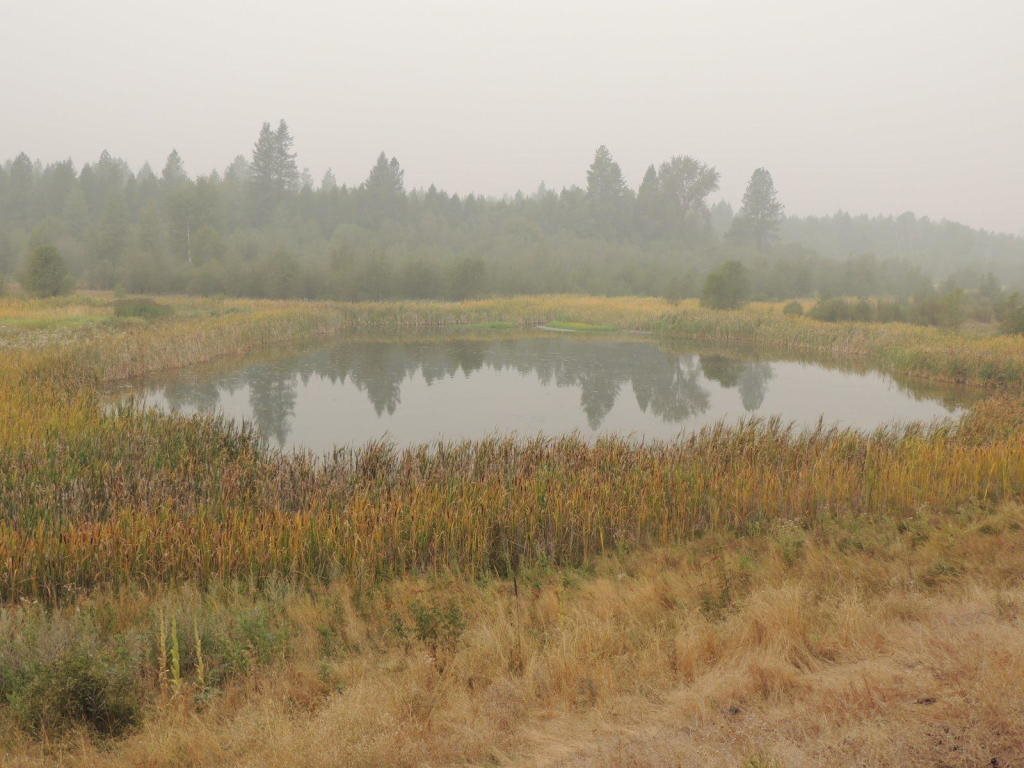 41-xx Cemetery Road Springdale, WA 99173 - Photo 1 of 12