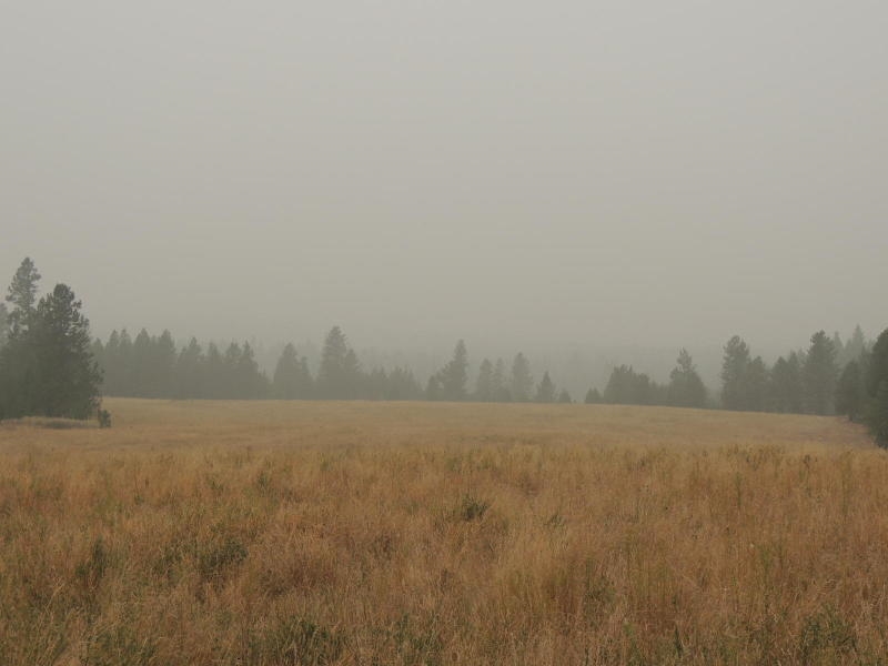 41-xx Cemetery Road Springdale, WA 99173 - Photo 4 of 12