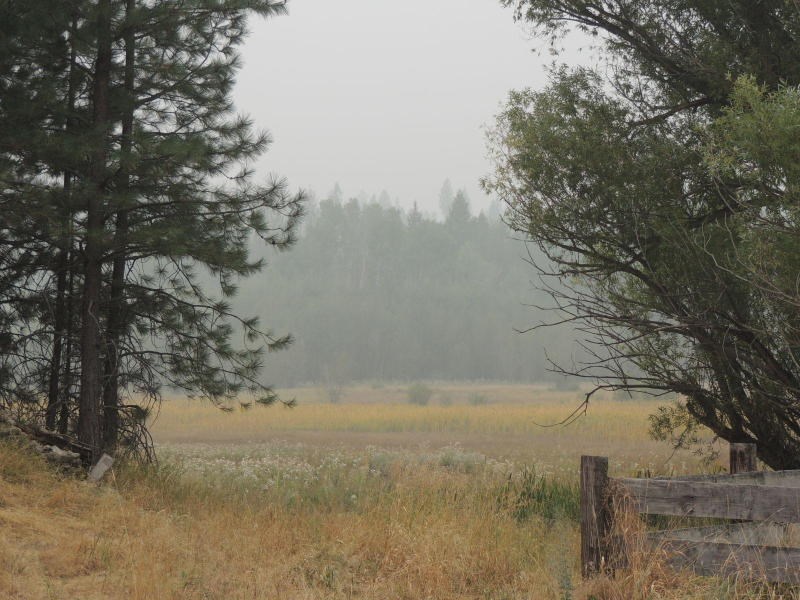 41-xx Cemetery Road Springdale, WA 99173 - Photo 9 of 12