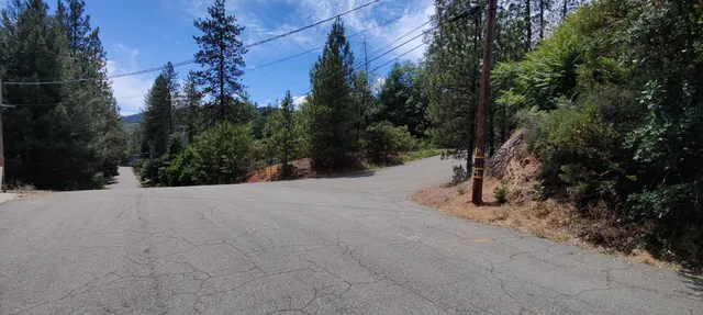 a view of a road with a tree in the background