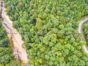 Lot 9 Turkey Bend Addison, AL 35540 - Photo 3 of 6 Gallery Image 3