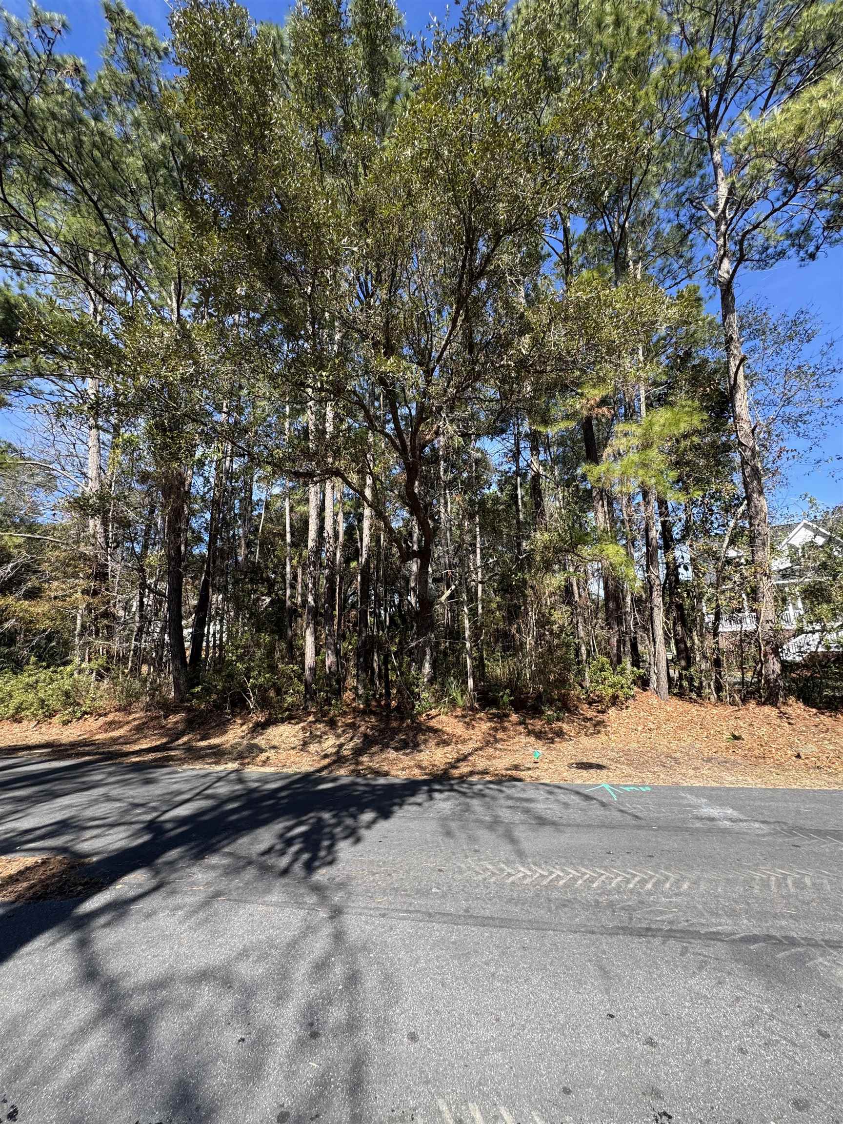 Lot 79 Brandon Way Georgetown, SC 29440 - Photo 1 of 1 Gallery Image 1