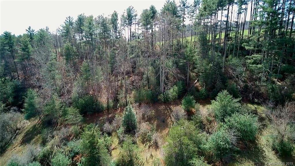 4 Hughey Road, Unit 4 Alexander, NC 28701 - Photo 3 of 16 Gallery Image 3