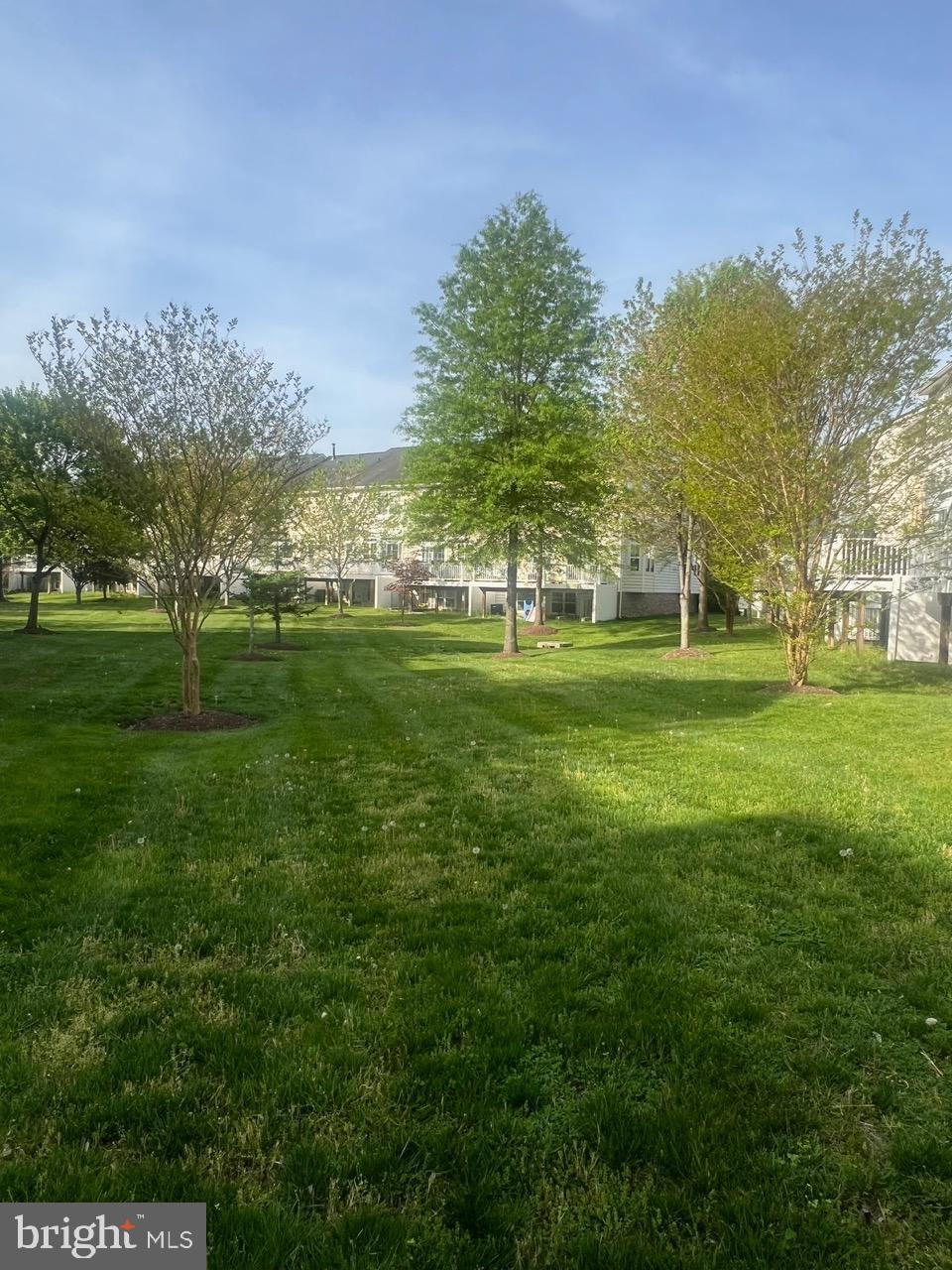 9702 Evening Bird Lane Laurel, MD 20723 - Photo 27 of 28 a view of a big yard with a big yard and large trees