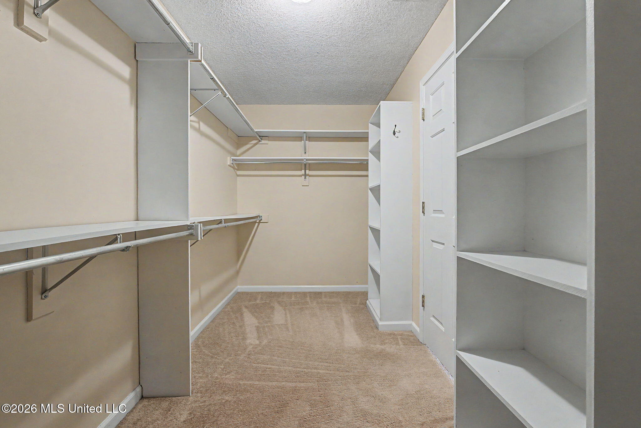 1195 Pendulum Drive Hernando, MS 38632 - Photo 25 of 38 Primary Closet