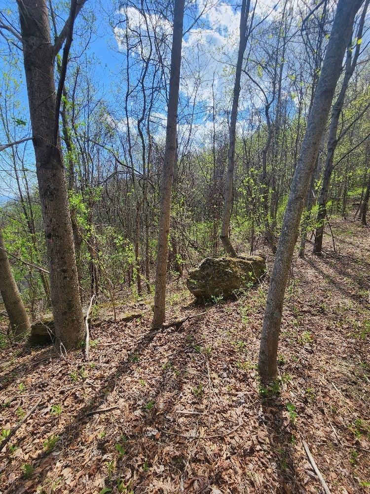 Tbd Tbd Spring Valley Road Fancy Gap, VA 24328 - Photo 26 of 27 Gallery Image 26