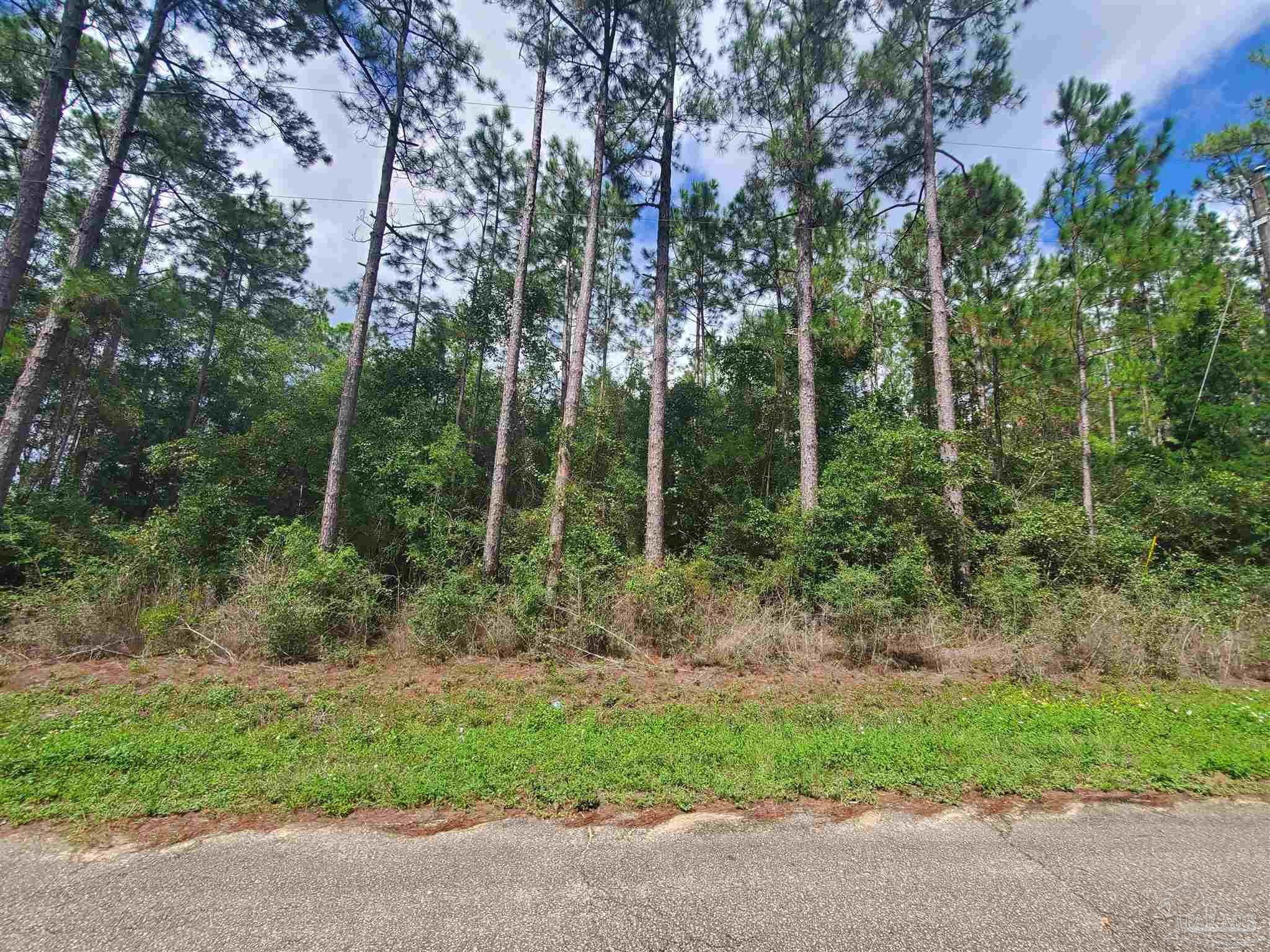 0 Malone Road Milton, FL 32570 - Photo 2 of 4 Gallery Image 2
