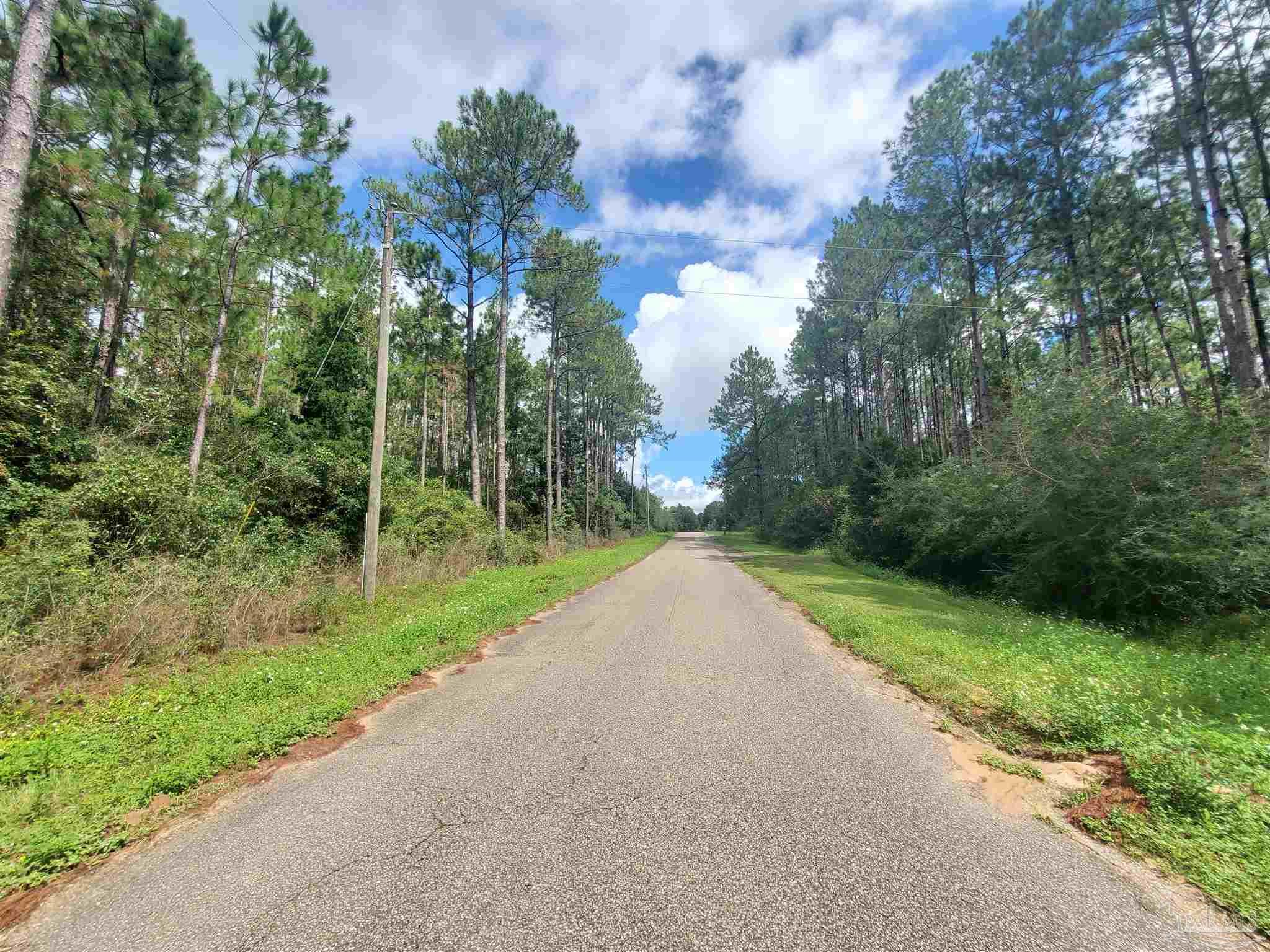 0 Malone Road Milton, FL 32570 - Photo 3 of 4 Gallery Image 3