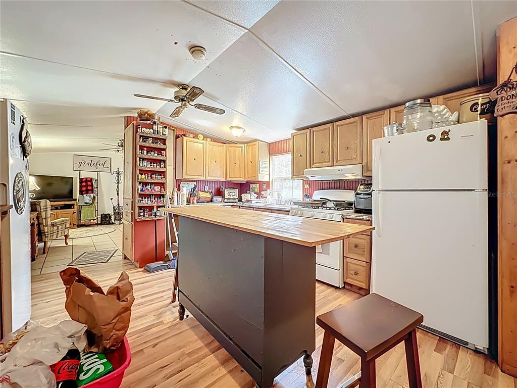 5391 Jenkins Loop Drive Keystone Heights, FL 32656 - Photo 4 of 52