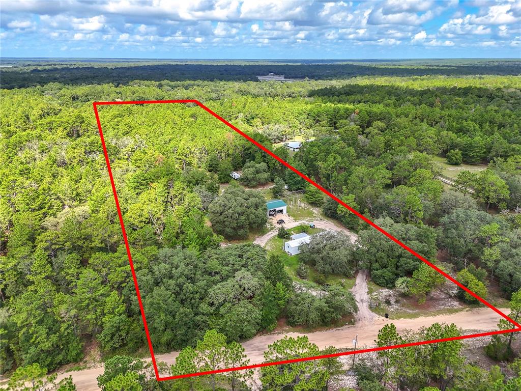 5391 Jenkins Loop Drive Keystone Heights, FL 32656 - Photo 9 of 52