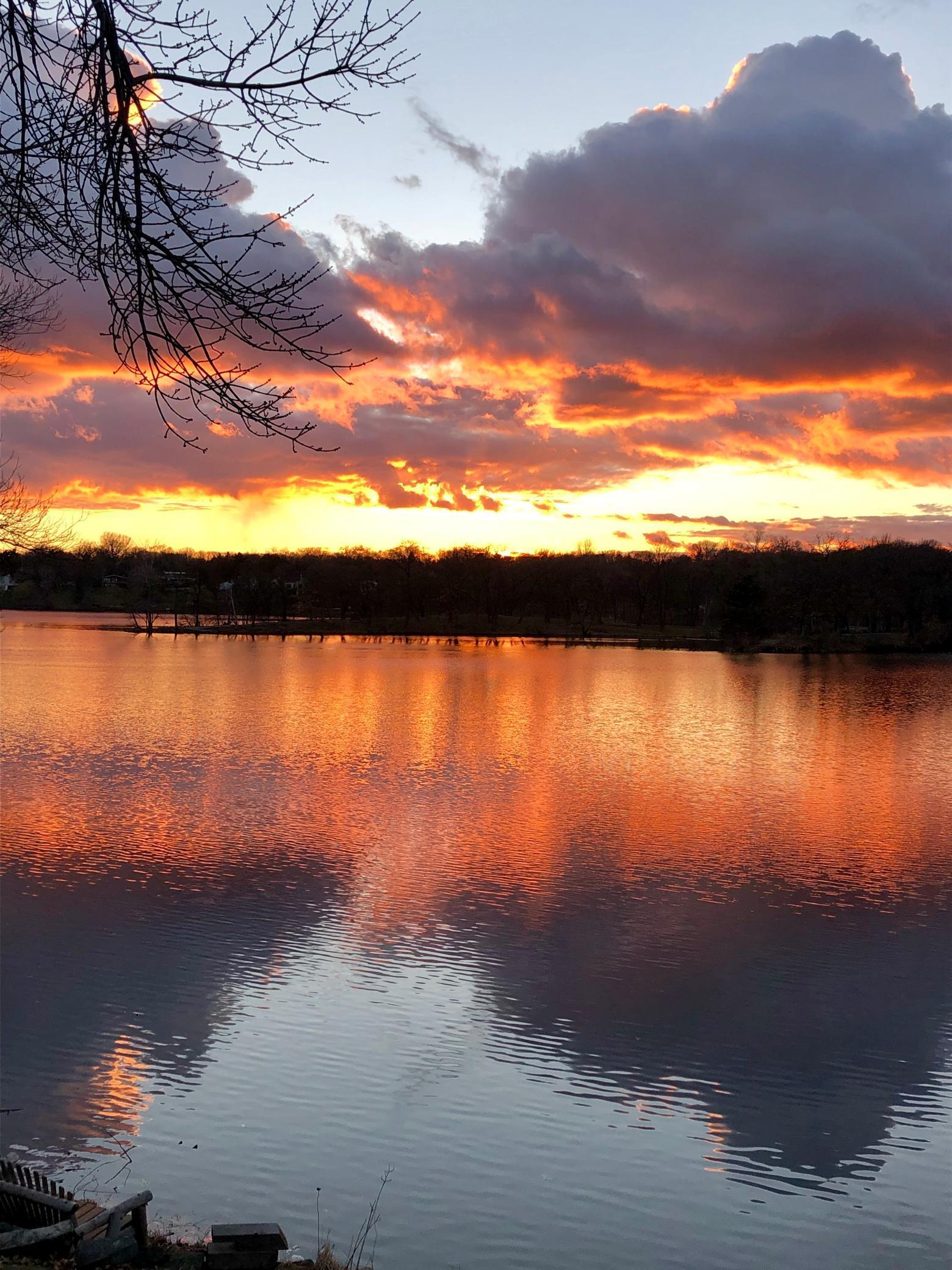 2919 Silver Lake Court St. Anthony, MN 55421 - Photo 46 of 47