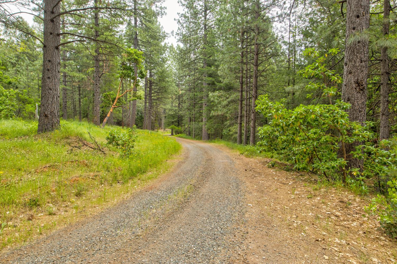 26270 Foresthill Road Foresthill, CA 95631 - Photo 41 of 54