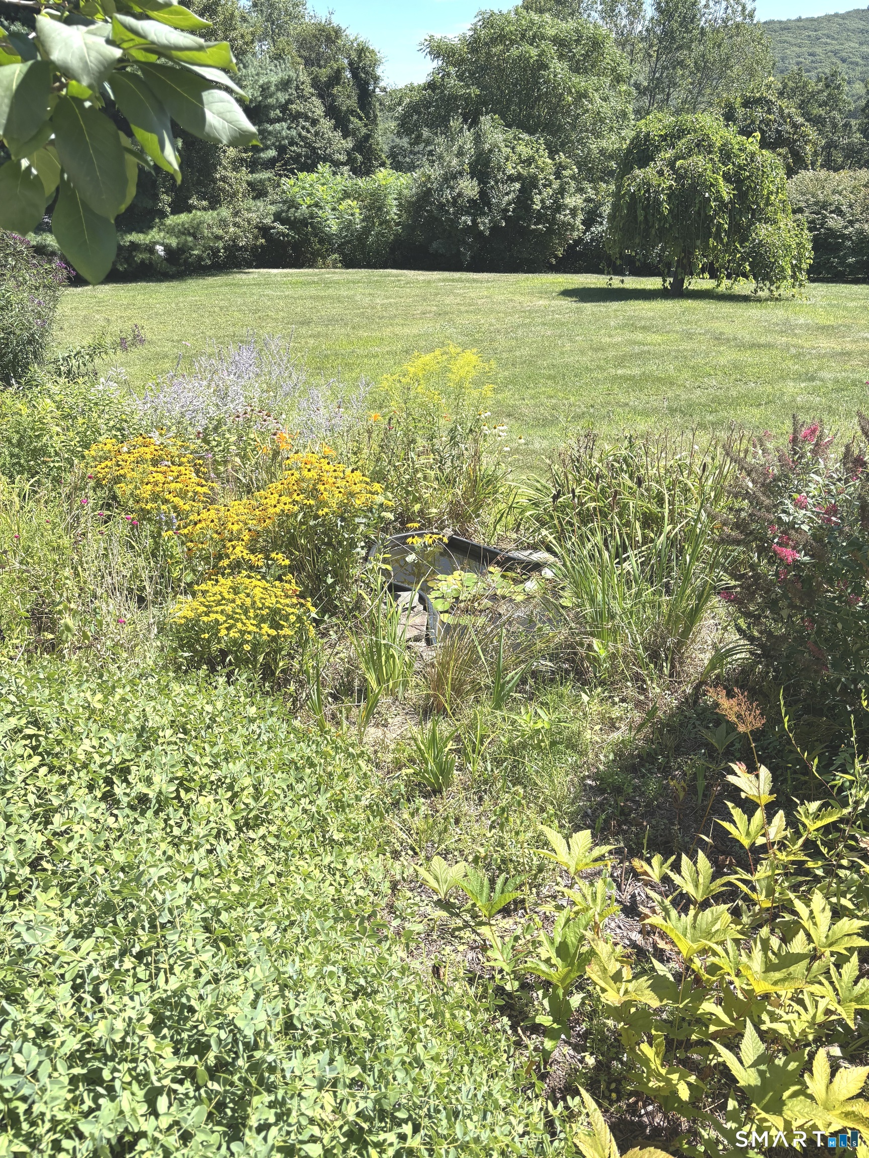 36 Barnes Hill Road Burlington, CT 06013 - Photo 8 of 27