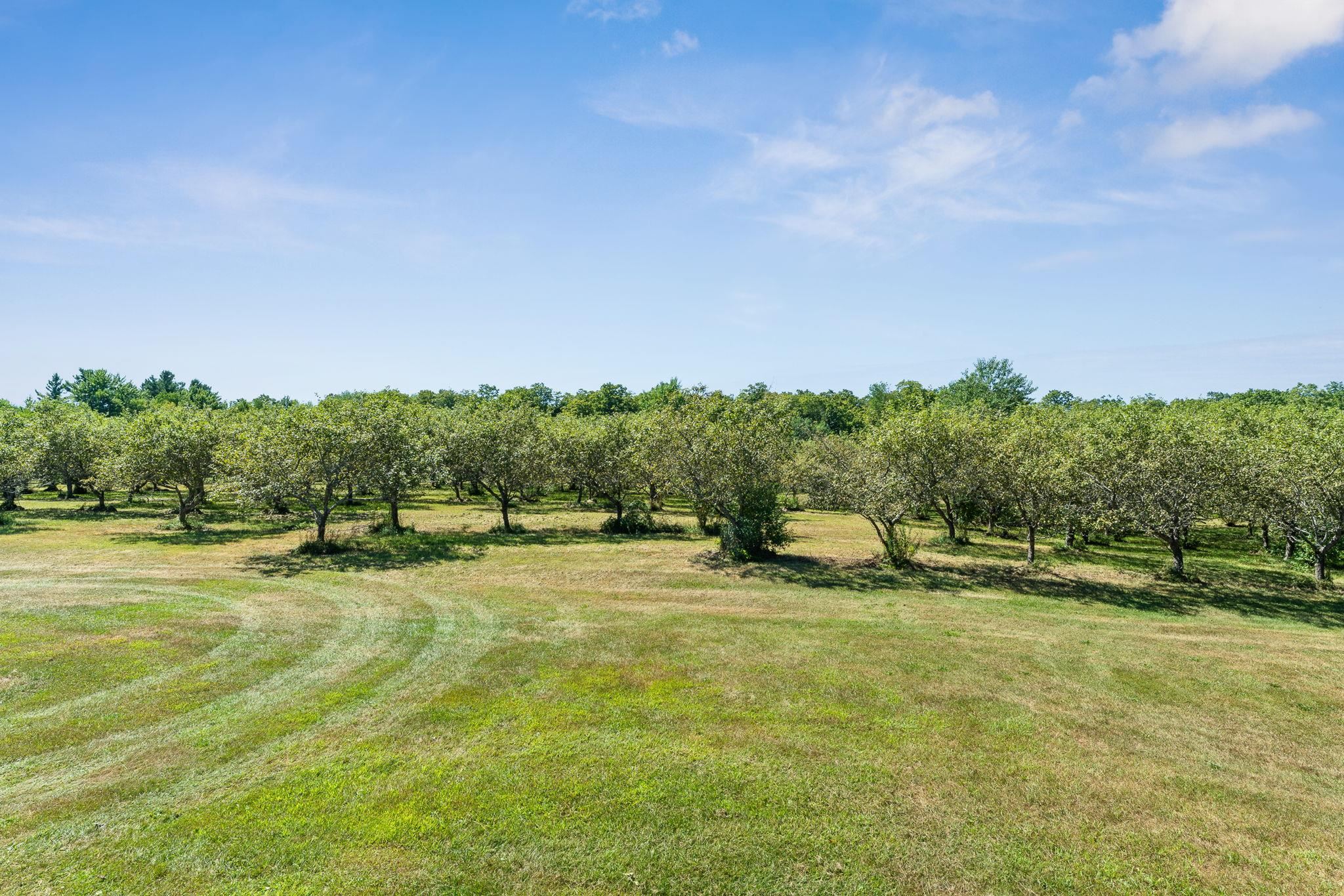 699 Kings Hill Road Bakersfield, VT 05441 - Photo 44 of 54